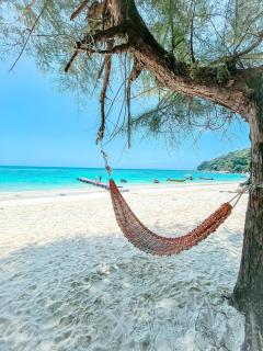 Fauna Beach Chalet Pulau Perhentian - 9