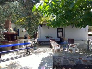 Mili's Country house with magnificent view - Skopelos Town - 1