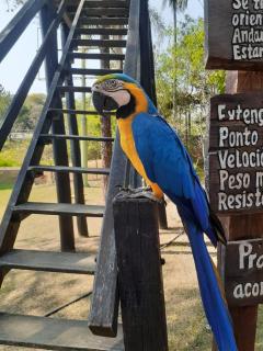 Hotel Fazenda - Socorro - 1