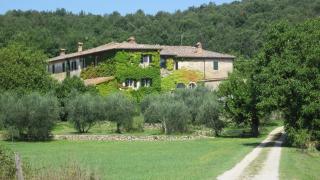 La Locaia - Siena - 0