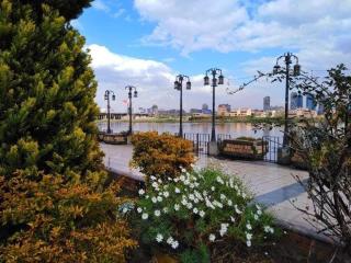 كمبوند أبراج الخليج - Kairo - 6