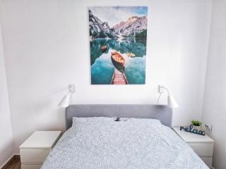 Apartmani Vlasina Sokobanja - Soko Banja - 0