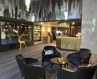 Best Western Plus La Fayette Hotel et SPA - Épinal - 7