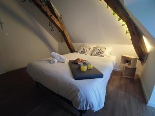 Edera - Saint-Aignan - 2
