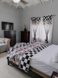 The president room 5 minutes to Devon House 4 Waterloo Avenue Kingston - Kingston - 9