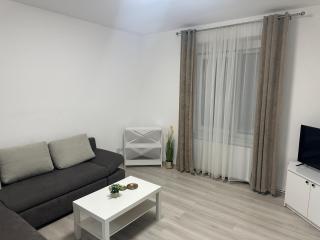 Aparthouse 1 - Lugoj - 9