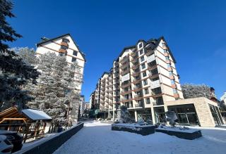 Terra29 Apartman Zlatibor - Zlatibor - 9