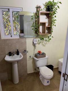 Garden House - Las Galeras - 9