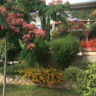 Семейный комплекс для отдыха - 8