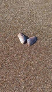 Dedalos Beach n1 ground floor - 8