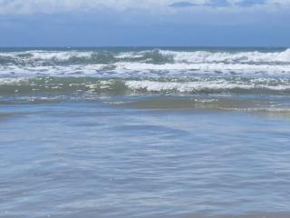 Arch Ocean View - 8
