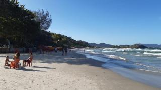 Casa na Praia do Matadeiro - paz e sossego - Florianópolis - 5
