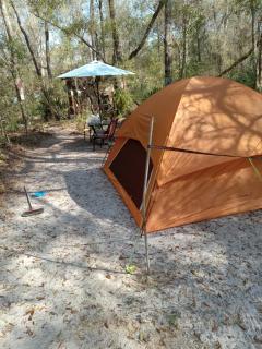 Skyacres - Chiefland - 4