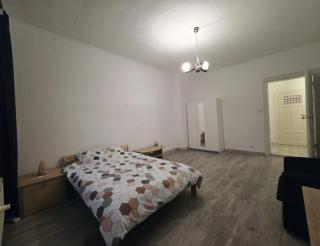 Cozy and Renovated Apartment in the Heart of the City - Stettin - 1