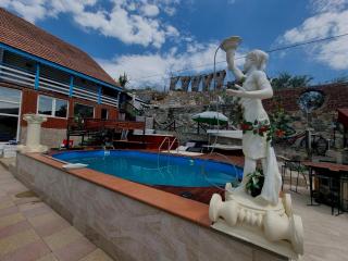 CABANA ȘTIMA - CAZANELE DUNĂRII -Șvinița - 9