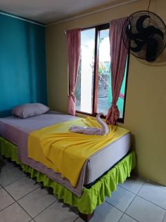 Cabinas Miss Miriam 2 - Tortuguero - 6