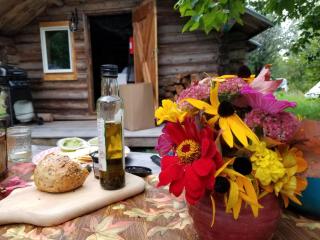 Colby's Cabin RUSTIC Off Grid Wilderness Retreat - - 3