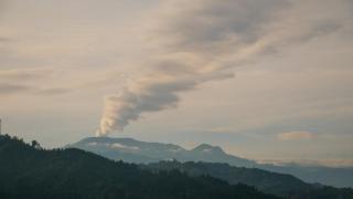 Tominejo Ecolodge - Casas en los árboles - 4