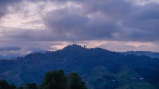 Tominejo Ecolodge - Casas en los árboles - 8