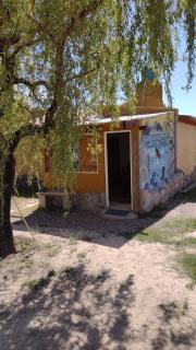 Jarilla Cabaña - Potrerillos - 1