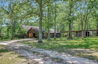 Getting Away Is Like Coming Home - Lufkin - 8