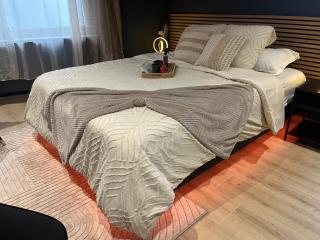 L'élégance - Charme - Jacuzzi - -Secret- Parking - Sarrebourg - 7