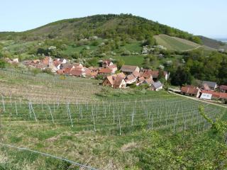 Schiefferberg - Bernardvillé - 7