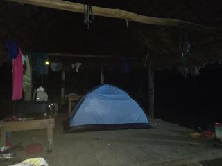 Selva Lodge - - 5