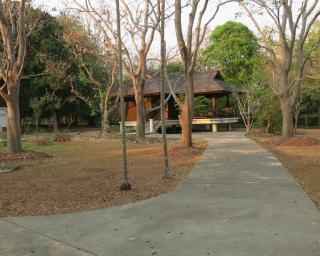 Suan Kaew Park - Ban Mai Na Hi - 7