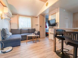 Mobil-home 2 chambres avec climatisation, terrasse et piscine à Mimizan - FR-1-50-162 - Mimizan - 9