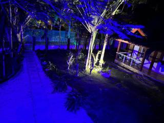 Virginia Bay Inn - Panglao - 3
