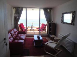 Costa Quilen Vista al Mar - 9