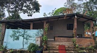 King of jungle retreat bungalow - 5