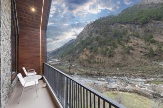 Echor Noah Villa Tirthan Valley - 8