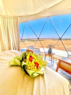Aman dome desert - 3