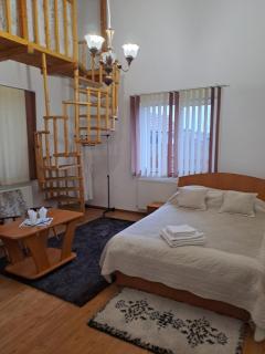 Pensiunea Rose - Păuleni-Ciuc - 8