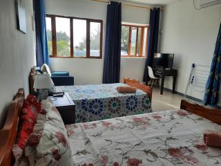 Rose Apartment flic en flac - 2