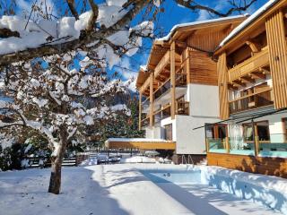 Hotel Alpina - Rauris - 2