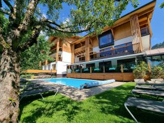 Hotel Alpina - Rauris - 3