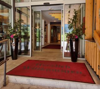 Hotel Alpina - Rauris - 5