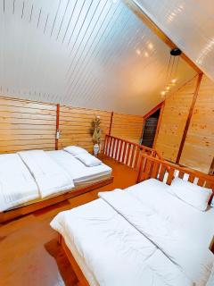 miarzafa cabin house - Kejajar - 2