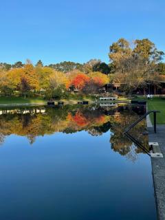 Fonty's Pool Caravan Park and Chalets - Manjimup - 1