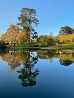 Fonty's Pool Caravan Park and Chalets - 2