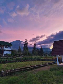 Homestay Hidayah Sembalun - Sajang - 7