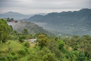 The Kasauli Heaven I Pet friendly & Serviced Apartments I Peacefull Area I Family Accomodation I Kasauli By Exotic Stays - Kasauli - 7