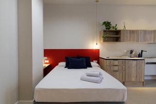 Osito Hub - Colomer - 6