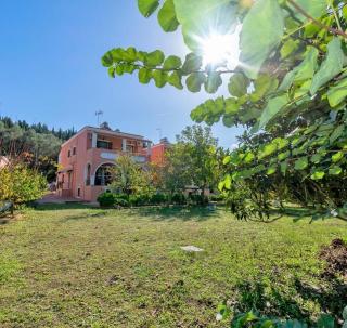 XENOFONTAS APARTMENTs - Agios Georgios Pagon - 3