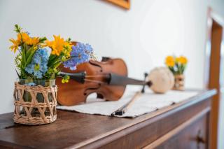 Wildrast by PANI - 1