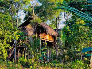 Green land tree house sigiriya - 9