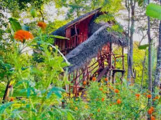 Green land tree house sigiriya - 0